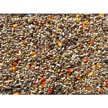 MATADOR - Premium Alpha - 20kg (oczyszczająca, po locie)